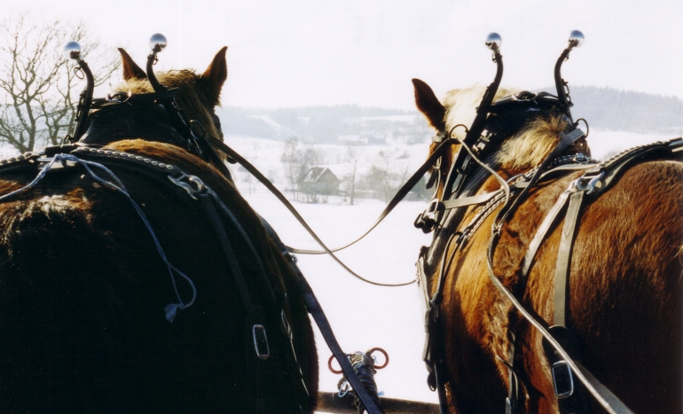 aus der Perspektive von Kutscher und Gsten