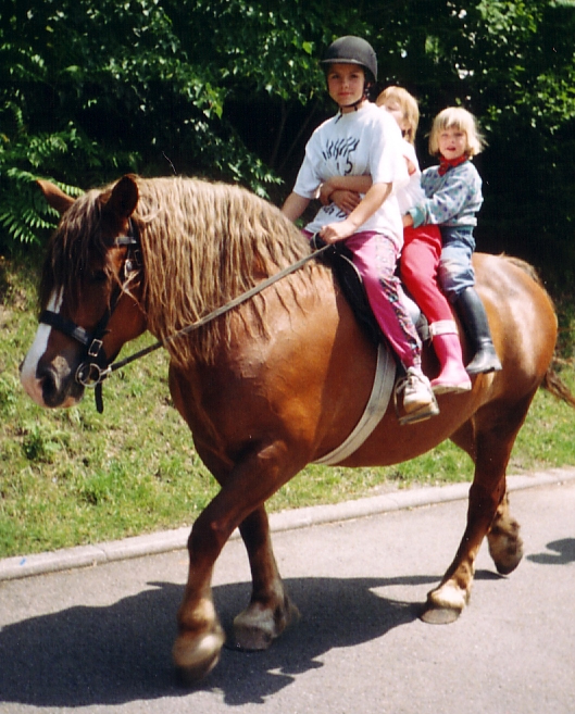 zu dritt auf einem Pferd