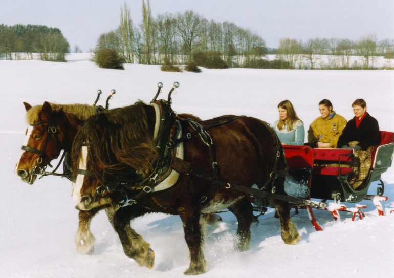 Hummelgauer Schlittenfahrt