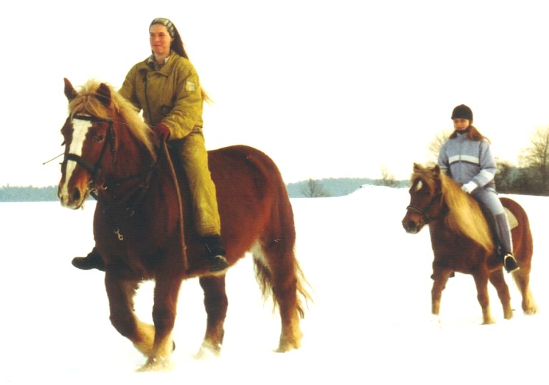 Bretone und Deutsches Reitpony II