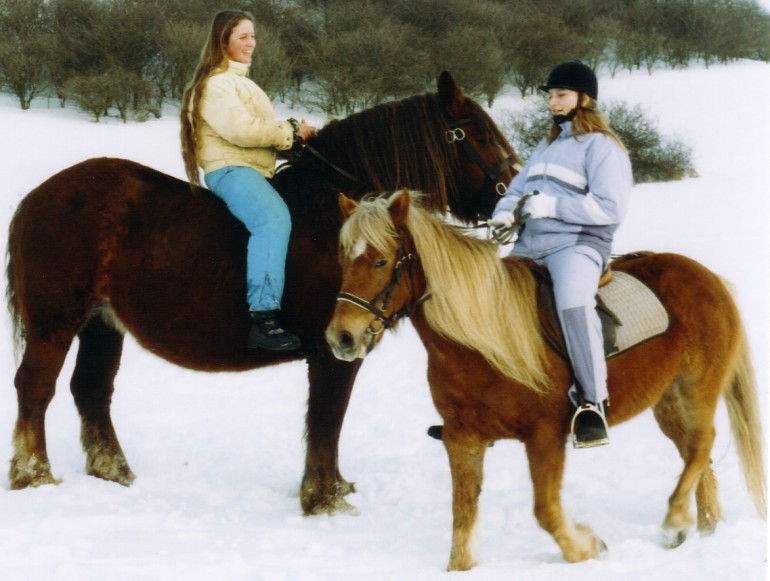 Bretone und Deutsches Reitpony