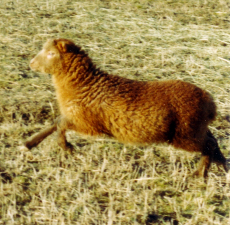 Stphanie macht groe Sprnge