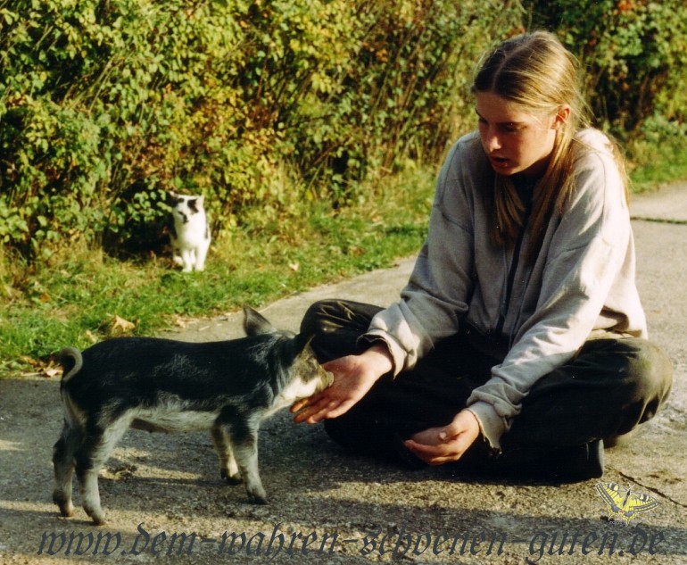 Ein Wollschweinferkel mit Resi auf unserer Einfahrt
