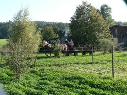 Abfahrt zwischen Hhnerstall und Eselkoppel durch
