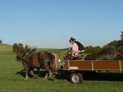 ber die Schafskoppeln