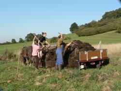 wieder die Menschen bei der Arbeit, abgeladen wird