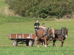Richtung heimatlichen Hof
