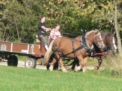 die Strae, die Creez und Mistelgau verbindet, kommt
