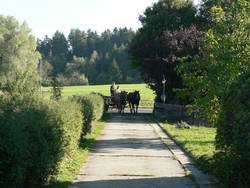 beim Einbiegen in die Hofeinfahrt