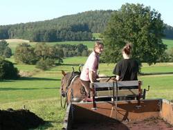 der Gummiwagen ist wieder leer!