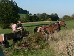 nach rechts weg zum Feldweg, der damals noch nicht asphaltiert war