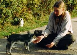 Unsere Ferkel hatten immer sehr viel Zutrauen zu uns, wobei sich das Ktzchen im Hintergrund noch nicht so ganz her traut.