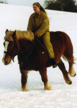 Vor allem unser bretonisches Kaltblut Bastille galoppiert gerne im Schnee.