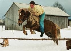 Sternchen beim Sprung im Schnee.