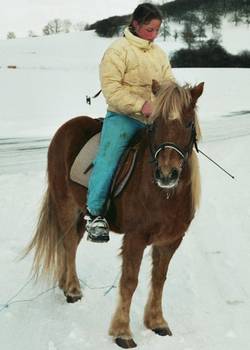 Sternchen wartet geduldig auf die Abfahrt zum Skijring.