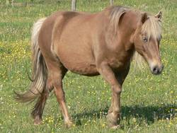 Sternchen ist schaut so als ob sie keiner Fliege was zu leide tun knnte.  Dem ist aber gewi nicht so.