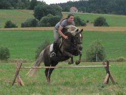 Sternchen beim Sprung von vorne.