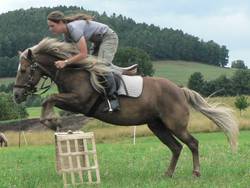 Wieder beim Sprung mit dem Schobertsberg im Hintergrund.