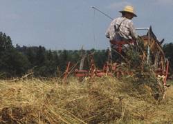 Beim Heuwenden mit einem Gabelwender ist das Heu hochwertiger