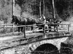 Ausflug mit Einspnner durch das Katzenbachtal bei Bad Niedernau
