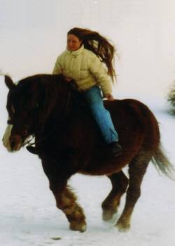 Sogar unsere alte Dame Bretone Taquine liebt es im Schnee zu rennen.