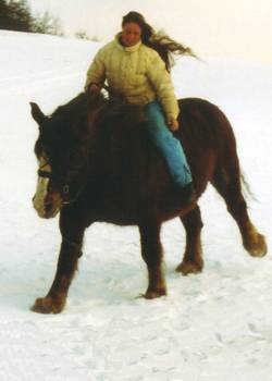 Hier noch einmal unser Kaltblut Taquine im Schnee.