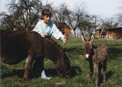 Eselstute Rosa-Lee mit ihrem wenige Tage alten Fohlen Dusty